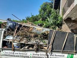 Professional Junk Removal Services in Comanche, OK